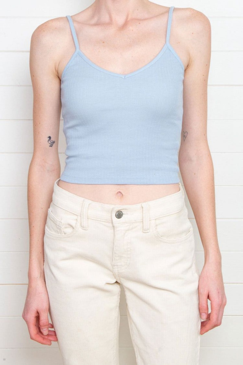 Debardeur Brandy Melville Lorene Cropped Bleu Clair | FNB-34532694